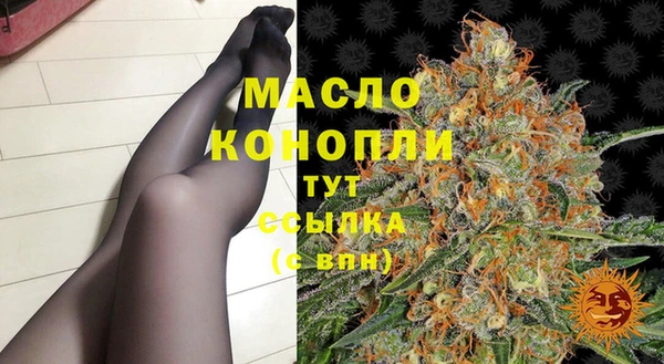 прущие грибы Бородино