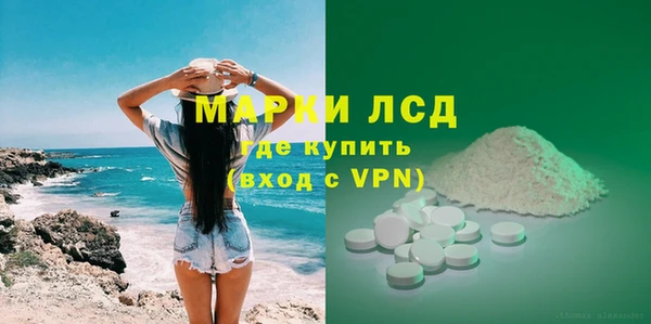 прущие грибы Бородино