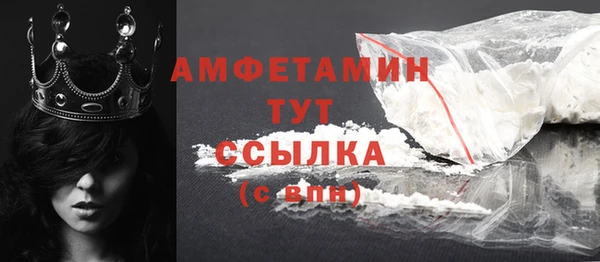 прущие грибы Бородино