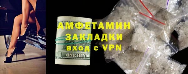 прущие грибы Бородино