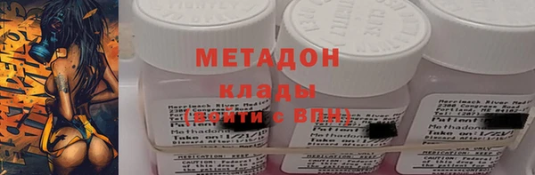 прущие грибы Бородино
