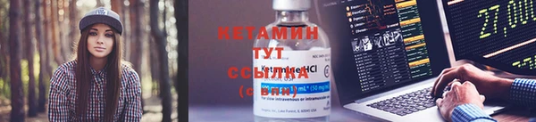 прущие грибы Бородино