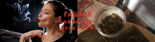 прущие грибы Бородино