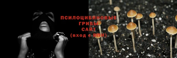 spice Бугульма