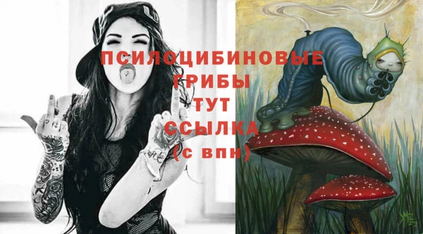 прущие грибы Бородино