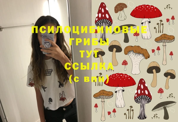 ALPHA PVP Бронницы