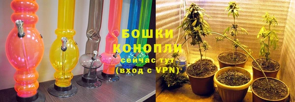 прущие грибы Бородино