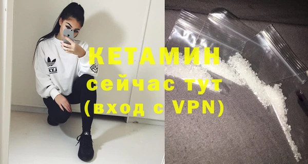 прущие грибы Бородино