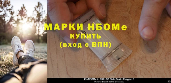 прущие грибы Бородино