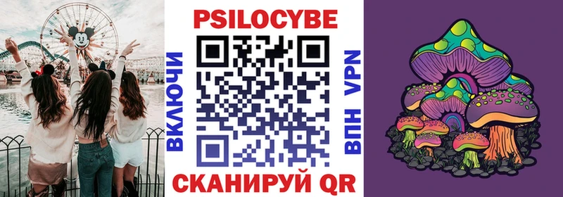 Купить  Сенгилей  Галлюциногенные грибы Magic Shrooms 